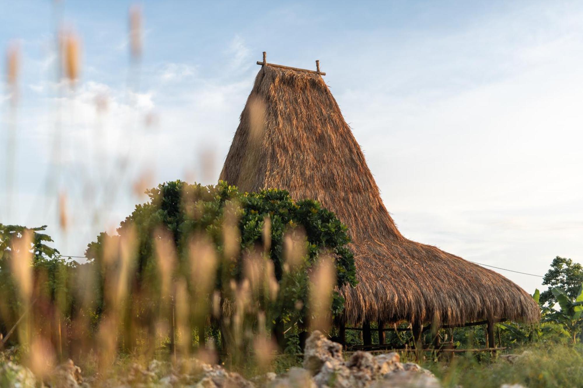 Cap Karoso Sumba - A Member Of Design Hotels Tambolaka Exteriér fotografie